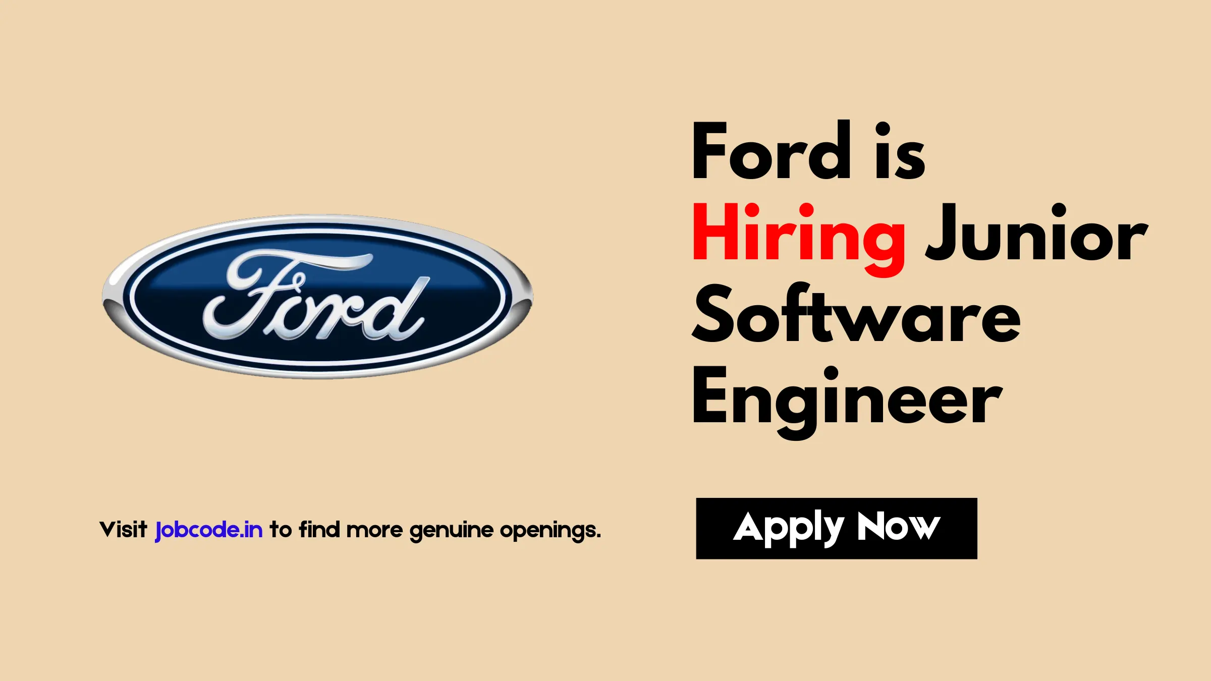 Entry Level Developer Jobs