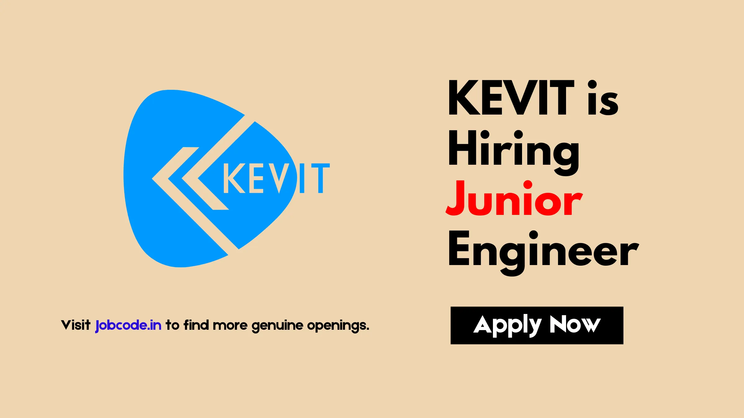 junior software development