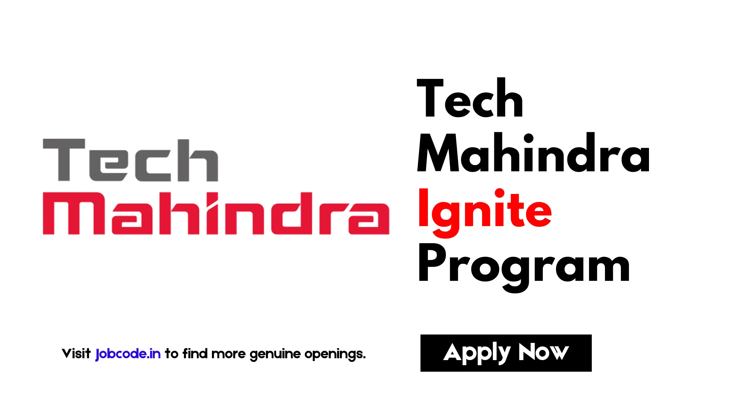tech mahindra ignite program