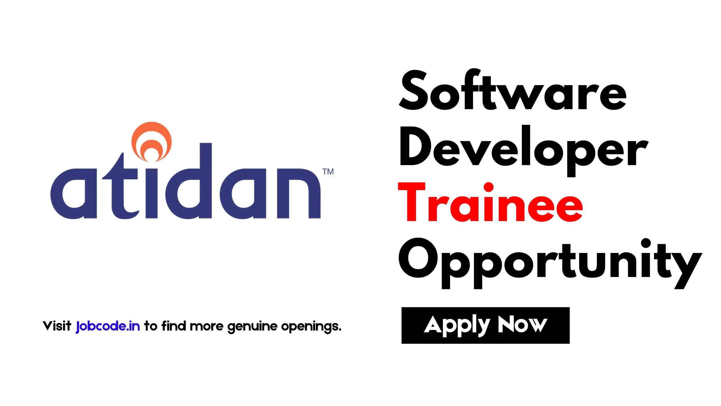 Software Developer Trainee