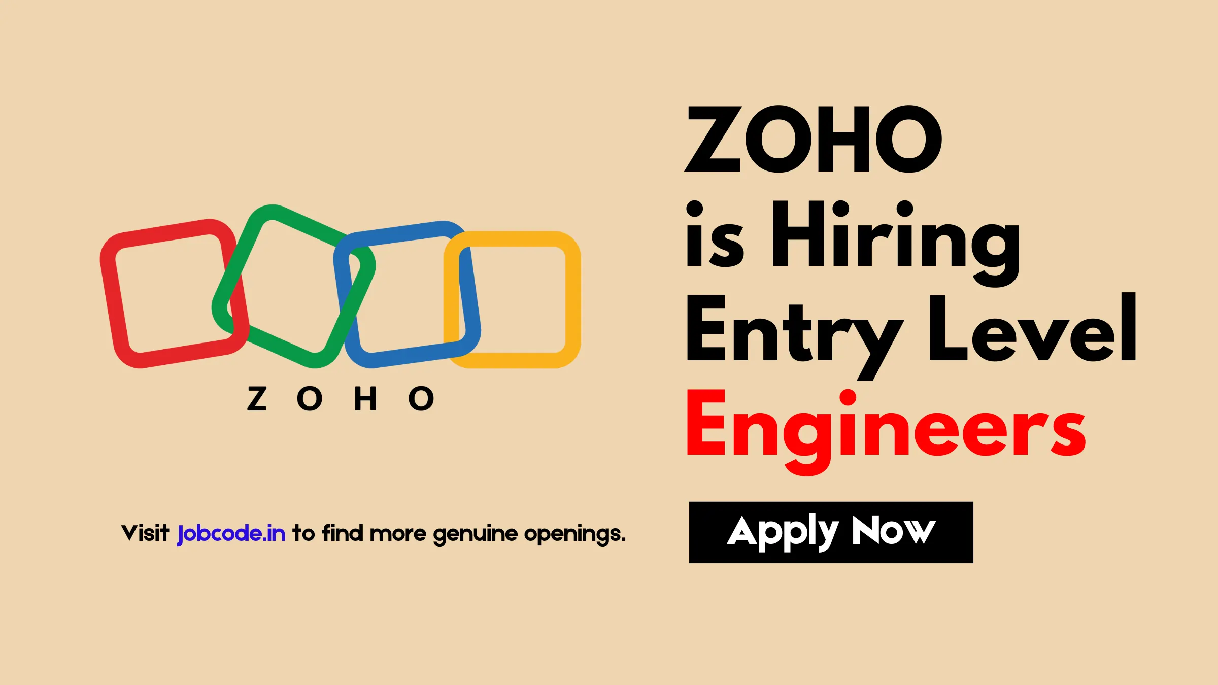 Entry Level Software Developer Job