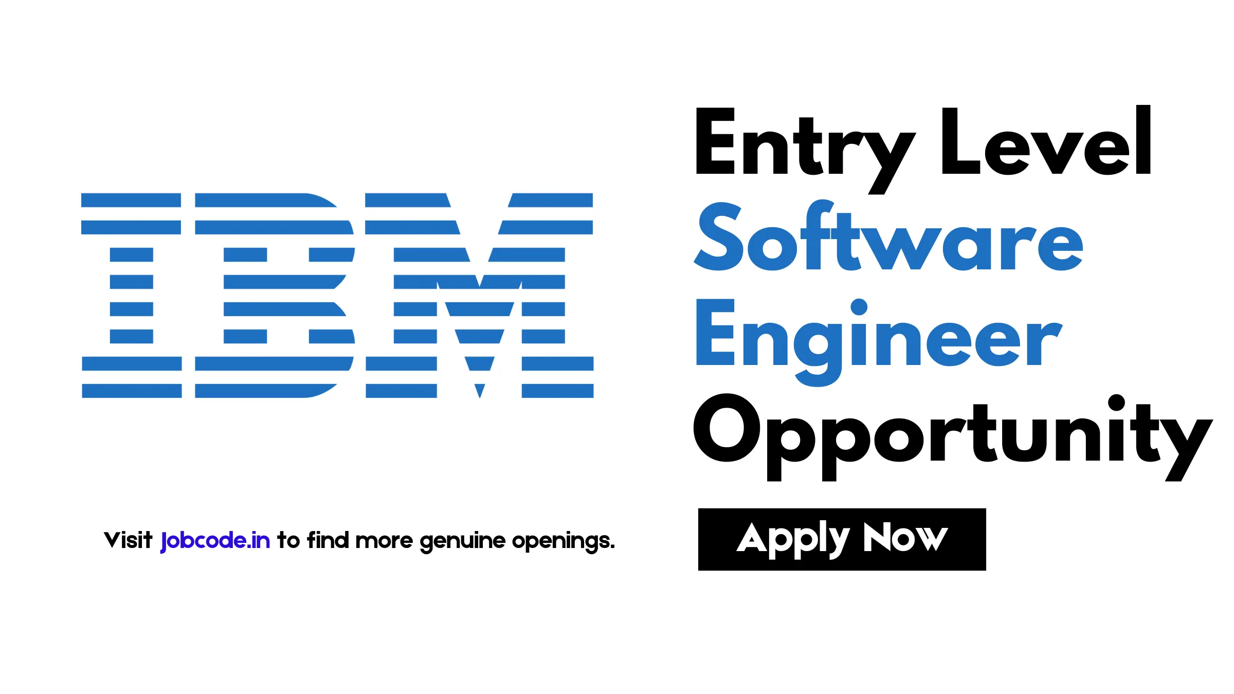 IBM Software Engineer Job