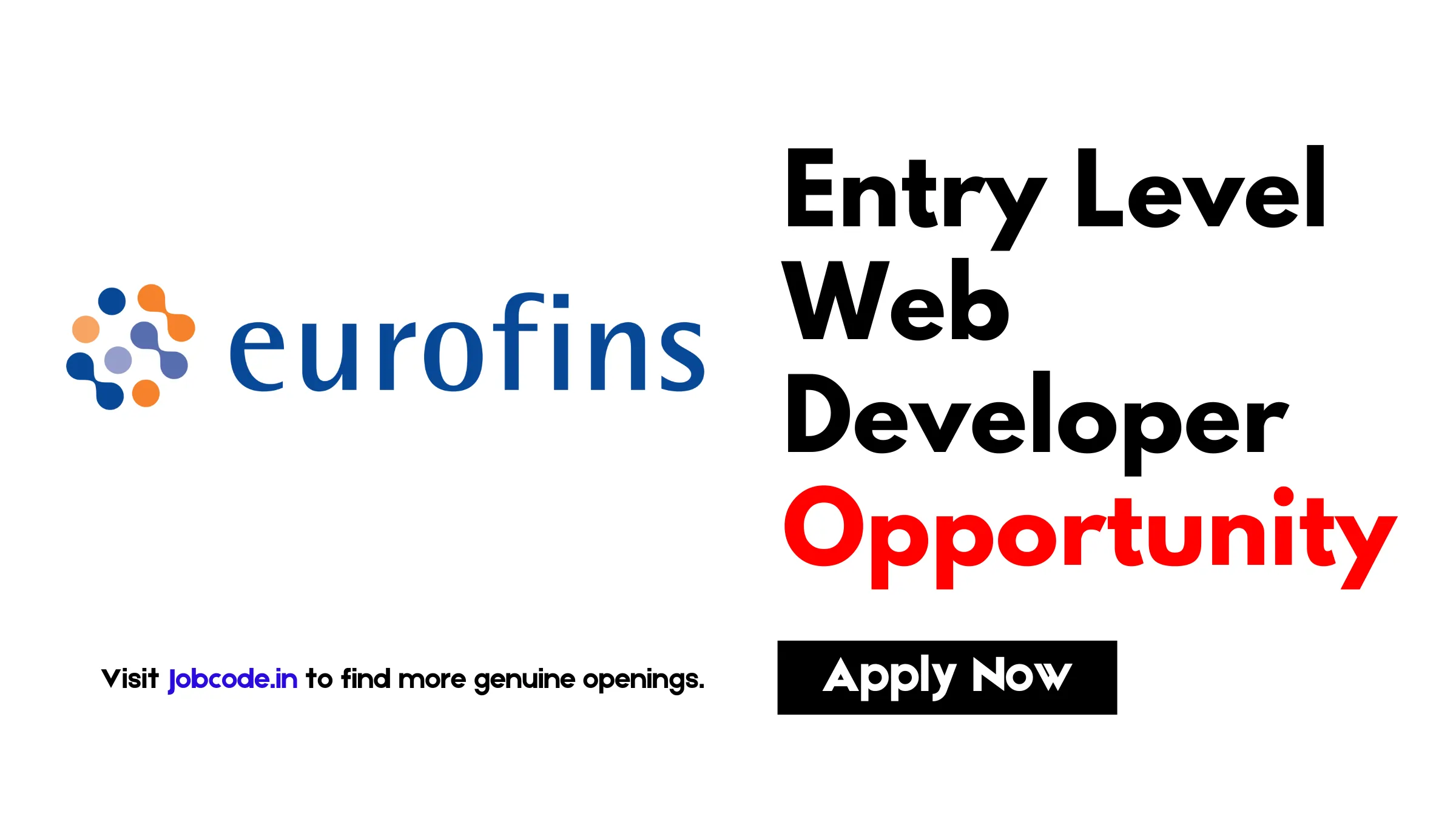 Entry Level Web Developer Job