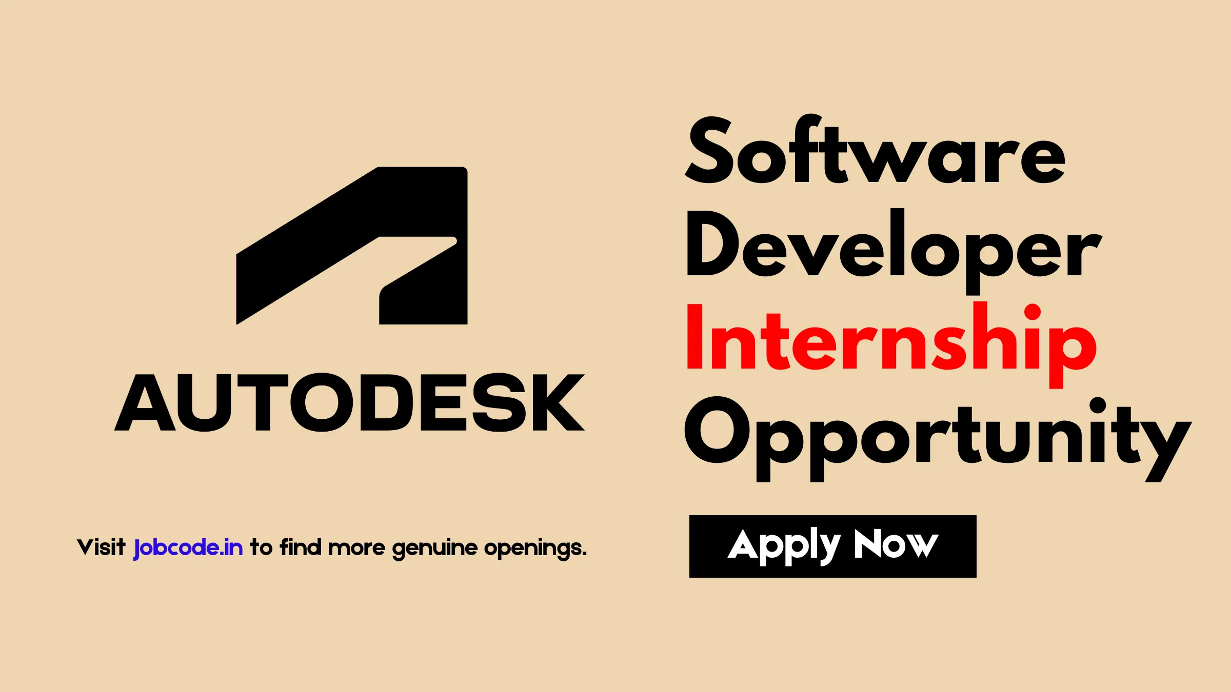 Software Developer Internship