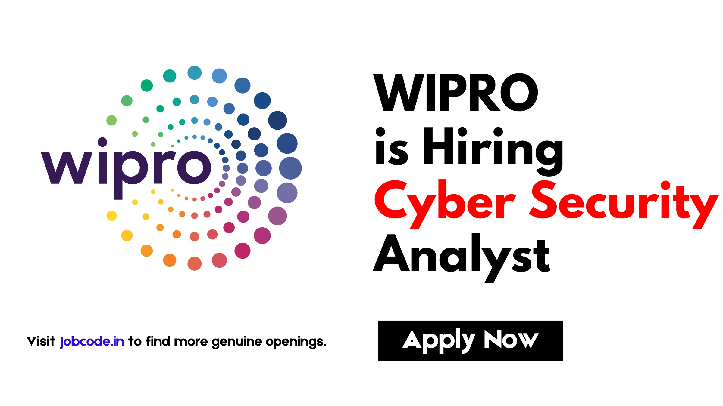 Cyber Security Analyst