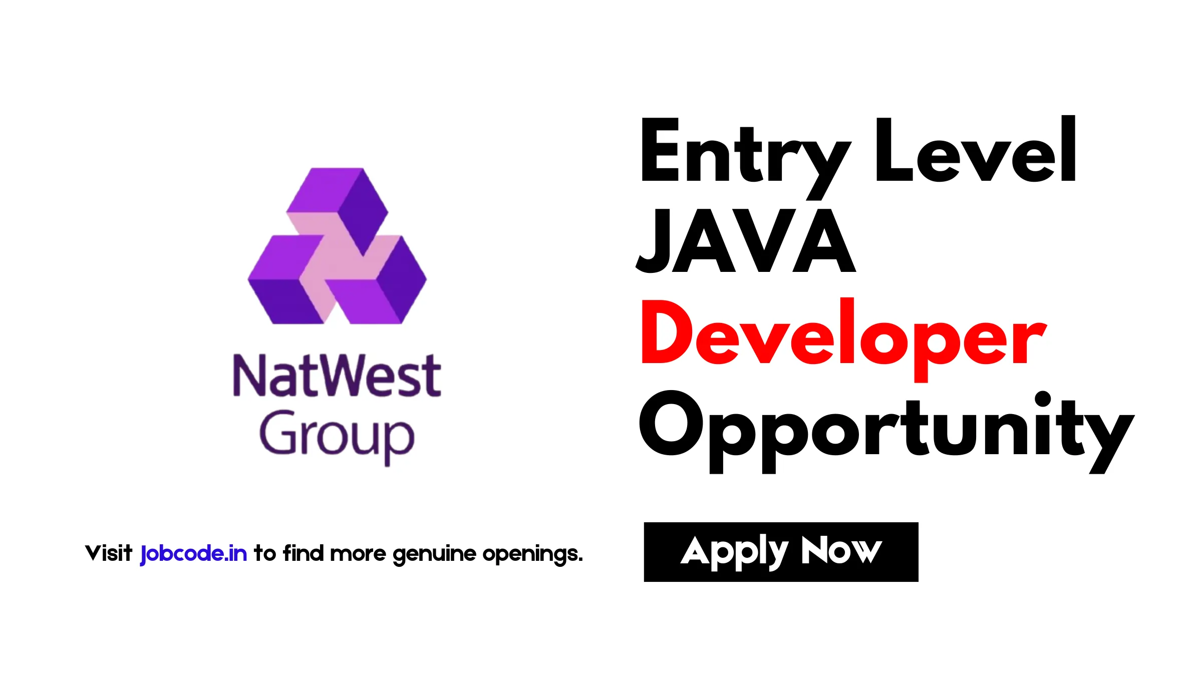 Entry Level Java Developer