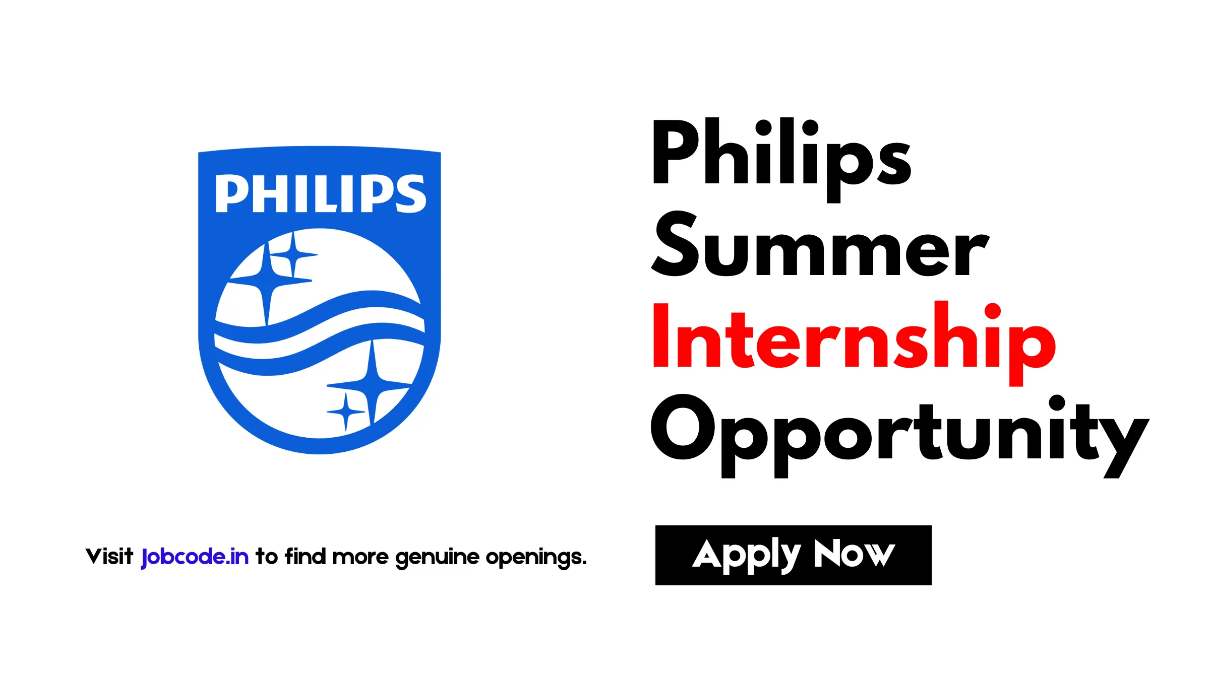 Summer Internship