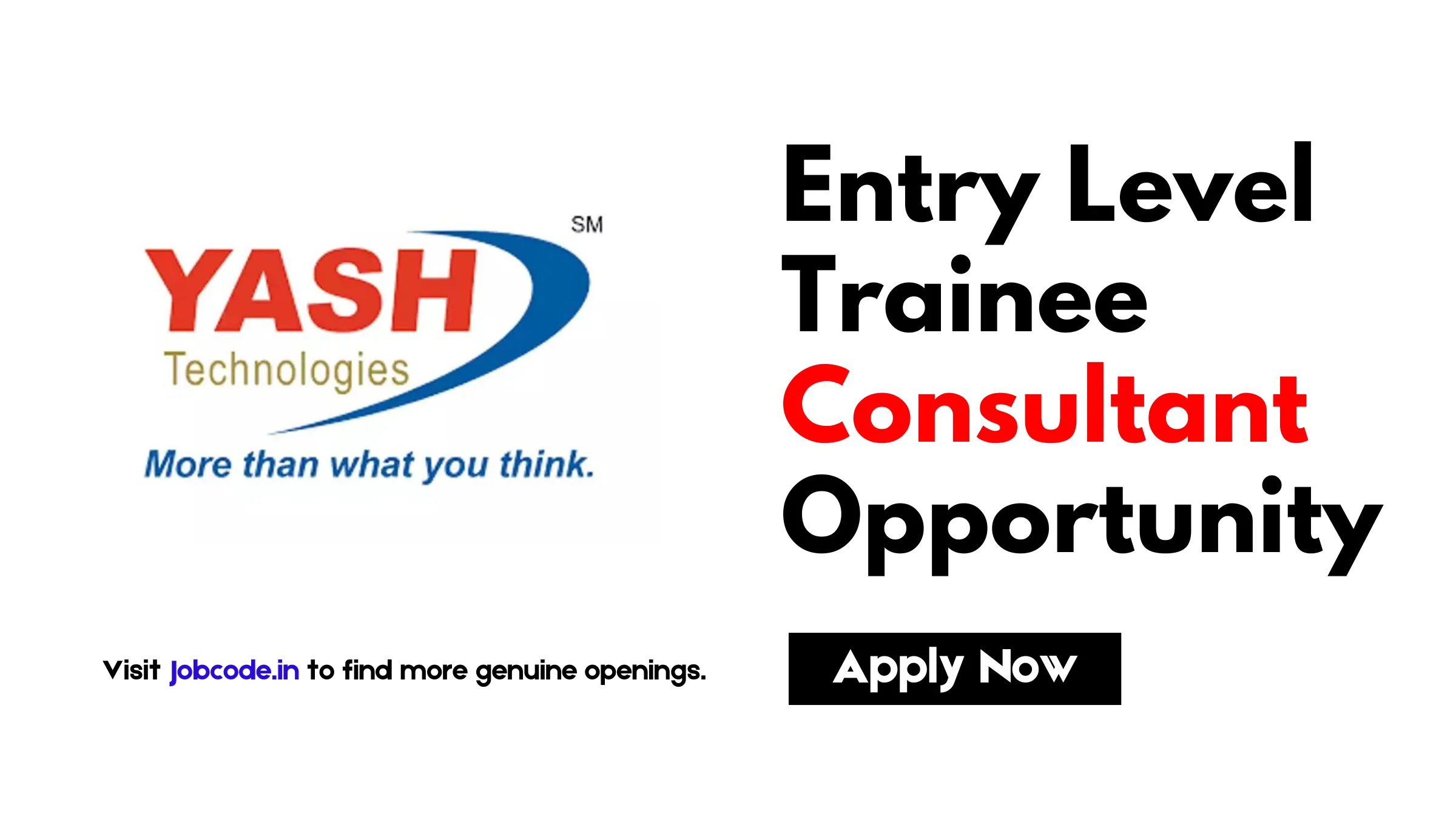 Trainee Consultant Job