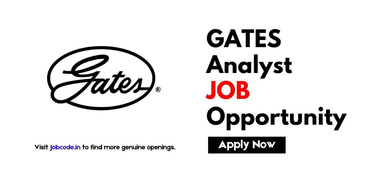 Analyst Job