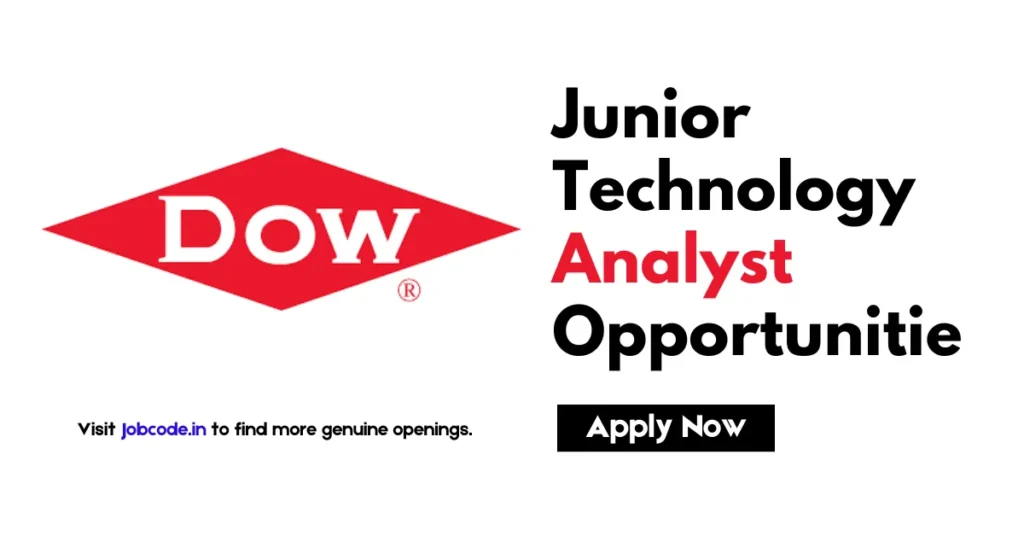 Junior Technology Analyst