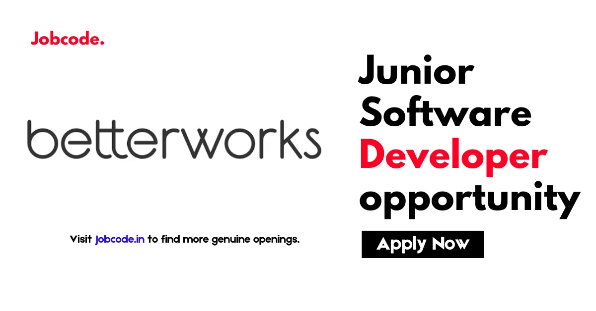 Junior Software Developer