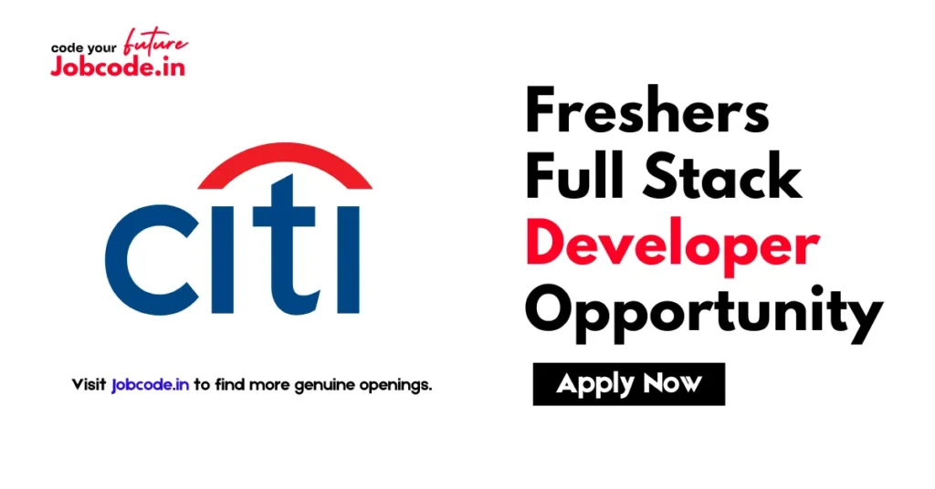 Full stack developer