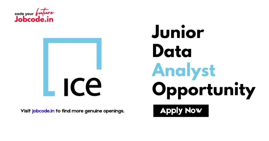 Junior Data Analyst