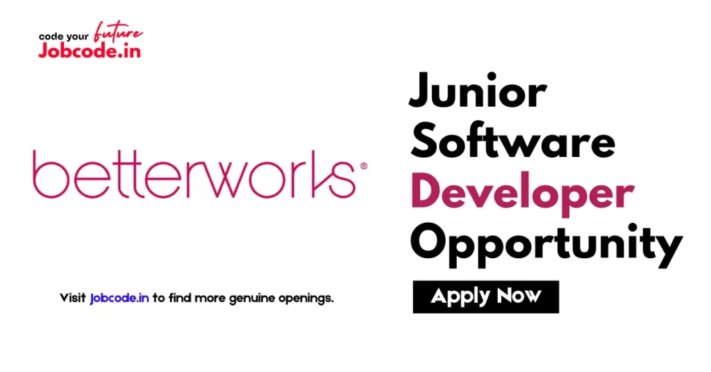 Junior Software Developer
