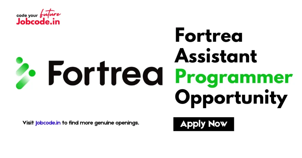 Assistant Programmer