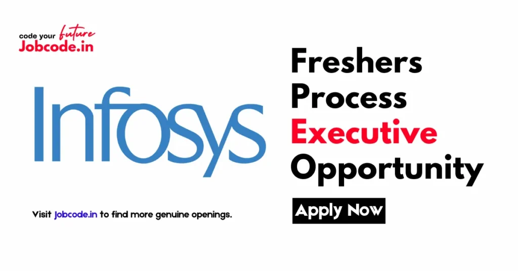 Freshers Process Executive