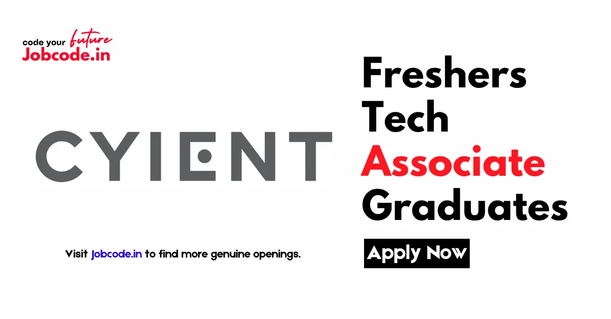 Application Developer