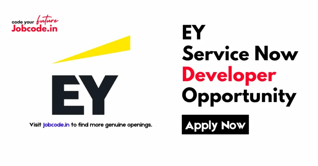 EY Service Now Developer