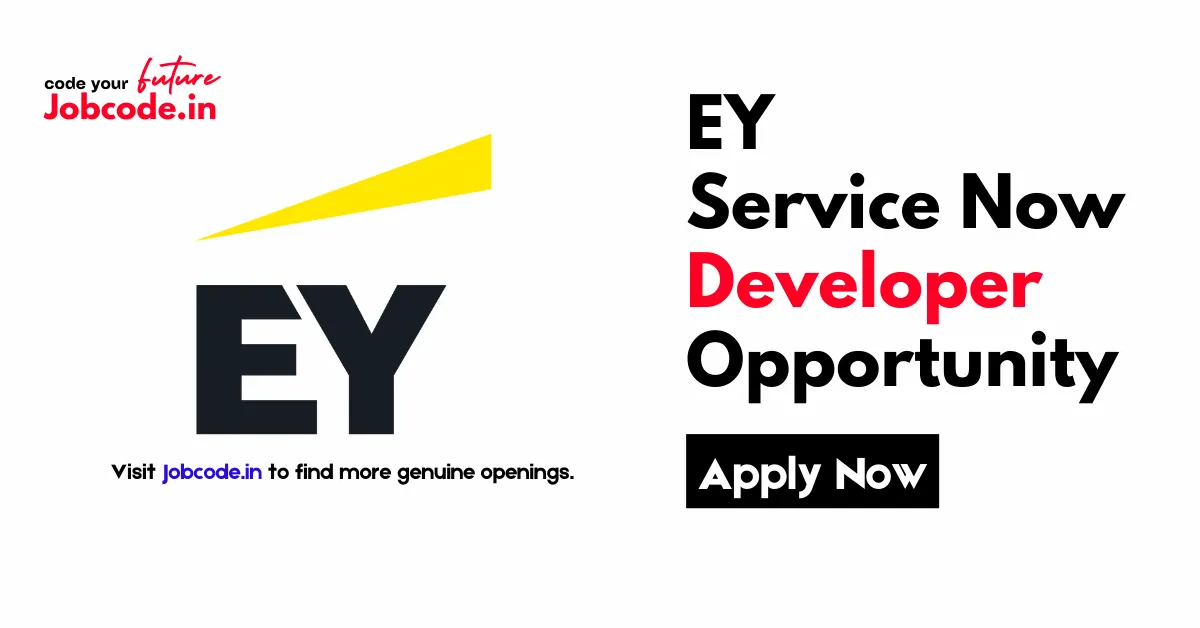 EY Service Now Developer