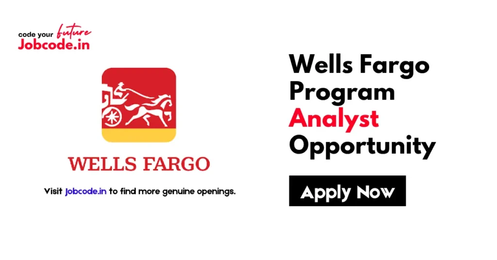 Program Analyst